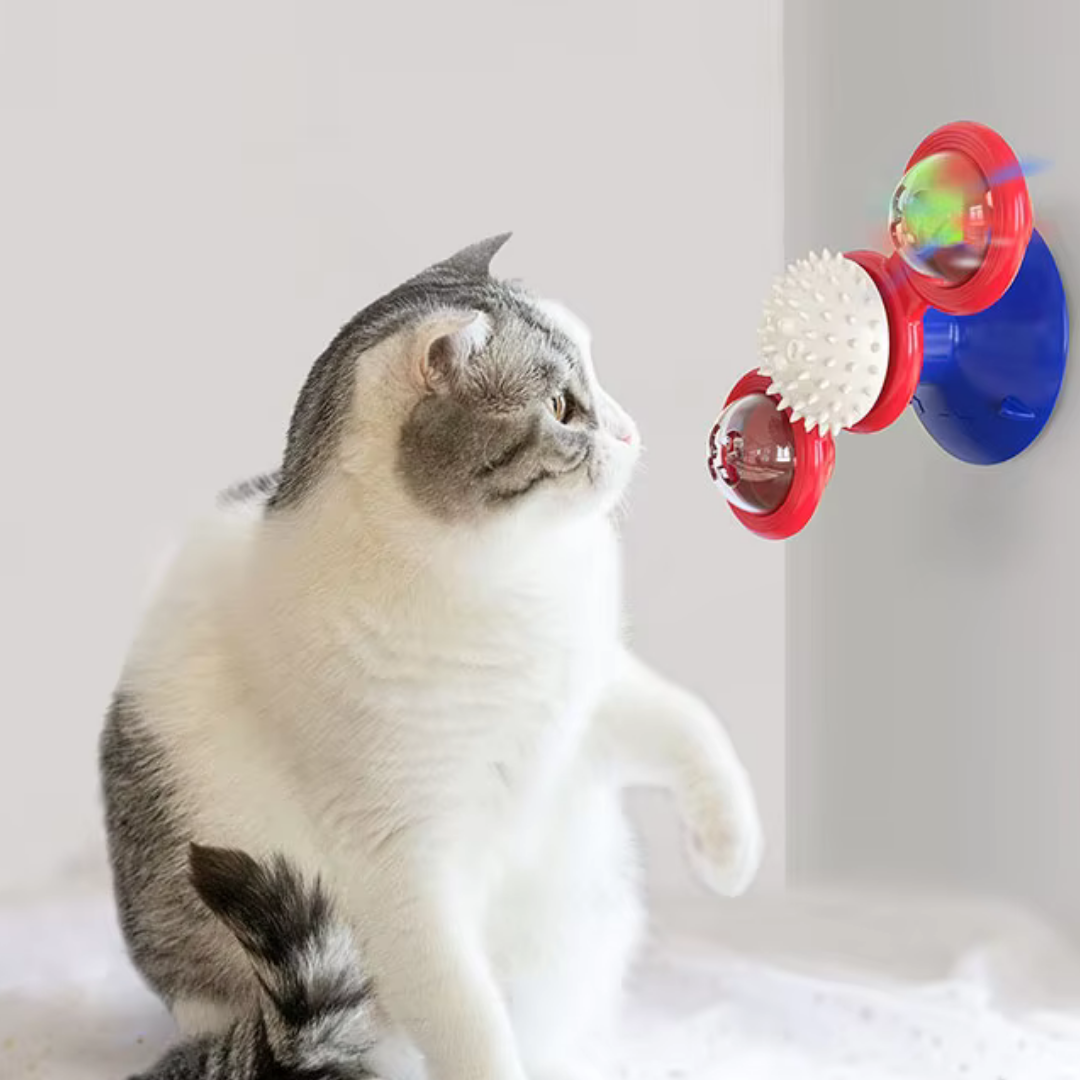 Interactive Windmill Cat Toy